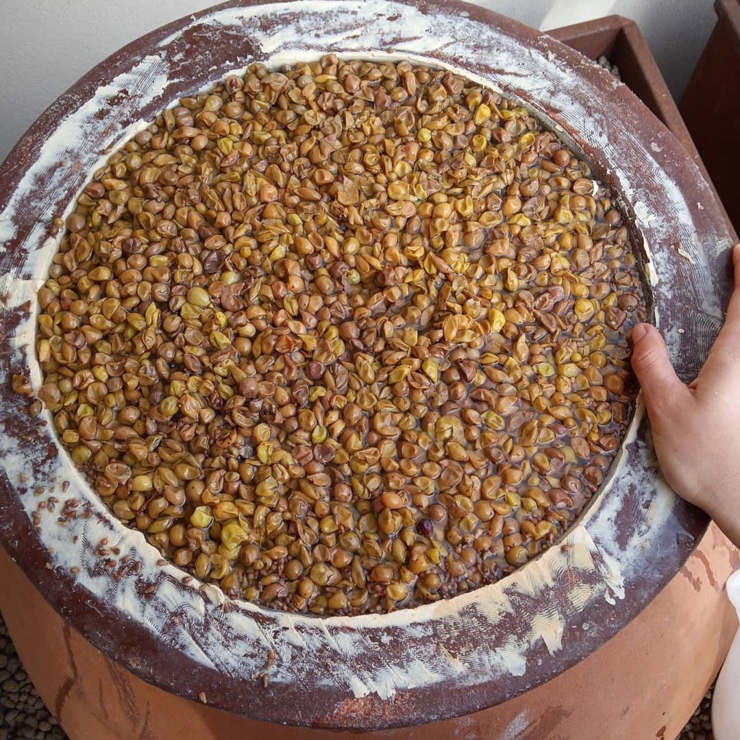 Tour in cantina con degustazione di vino e cibo nei pressi di Riccione e Rimini
