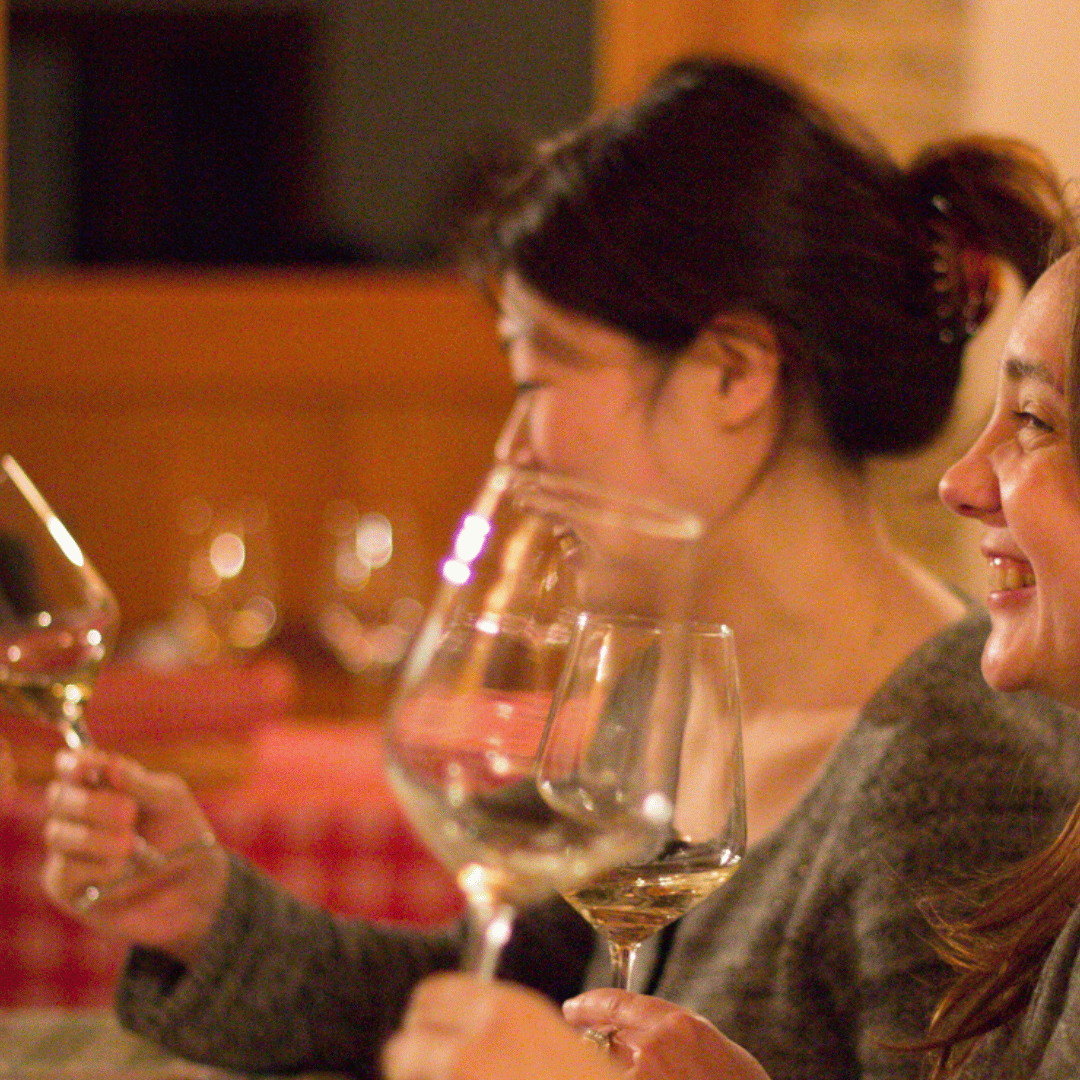 Weinprobe und Tour in den Hügeln von Padua