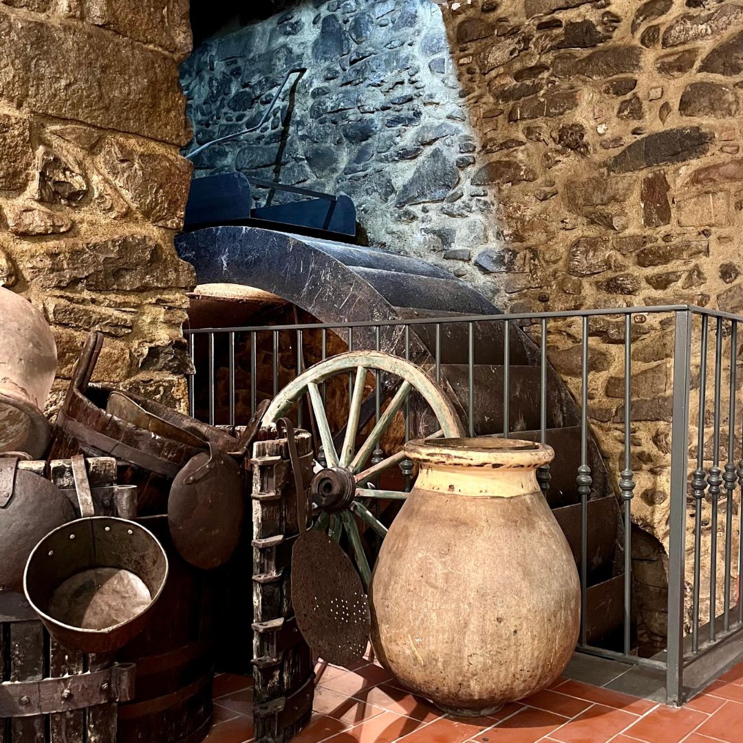 Olive Mill Visit & Guided Tasting in Taggia