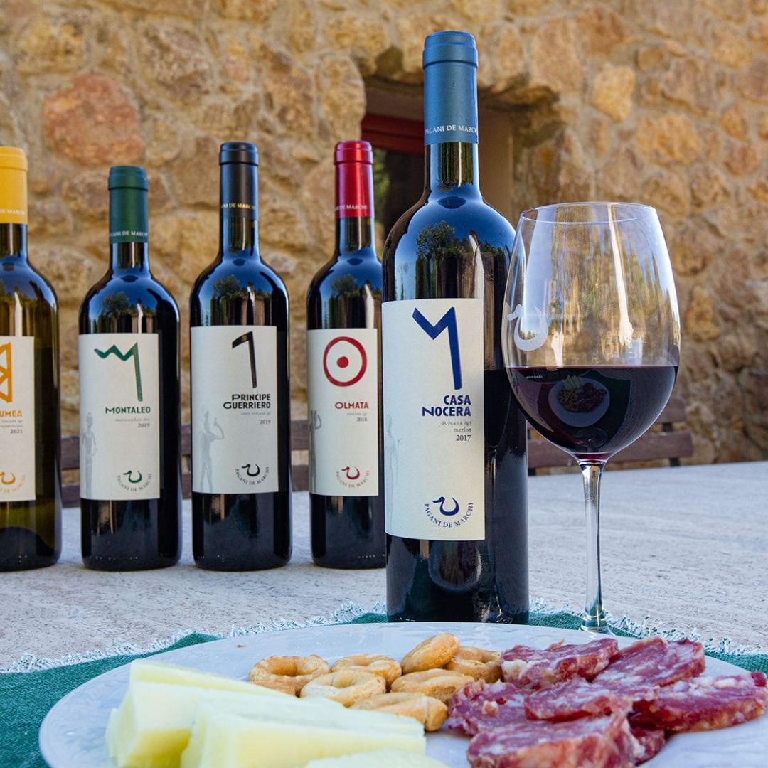 Tour della Cantina e Degustazione di Vini con Cibo vicino a Livorno e Pisa