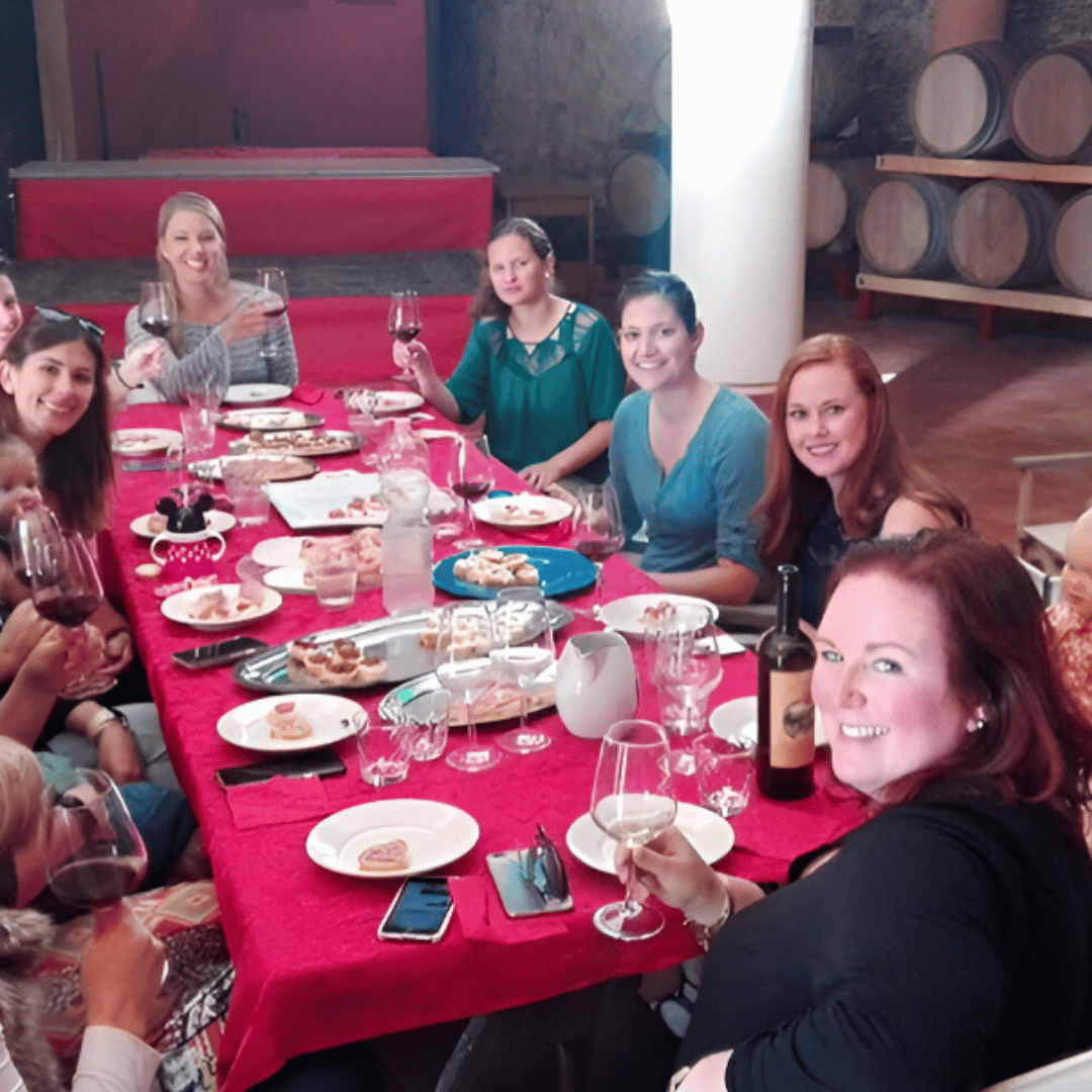 Vineyard Walk & Wine Tasting in the Berici Hills of Vicenza