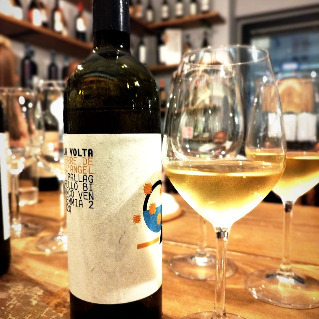 Wine Tasting Experience with Local Food Pairings in Naples