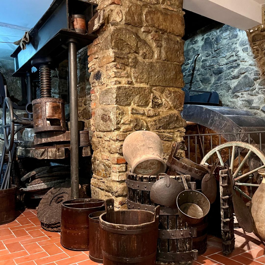 Olive Mill Visit & Guided Tasting in Taggia