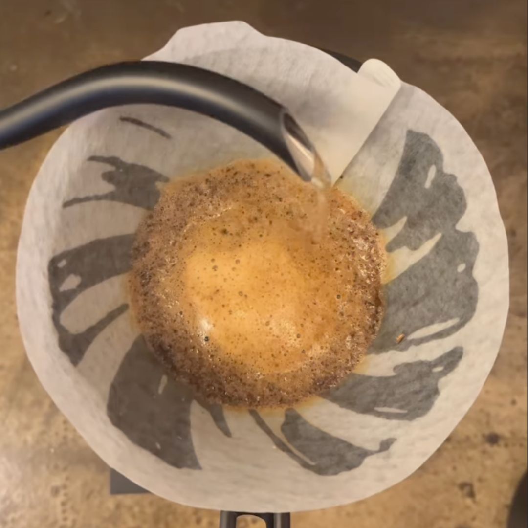 Specialty Coffee Workshop & Tasting Experience in Rome