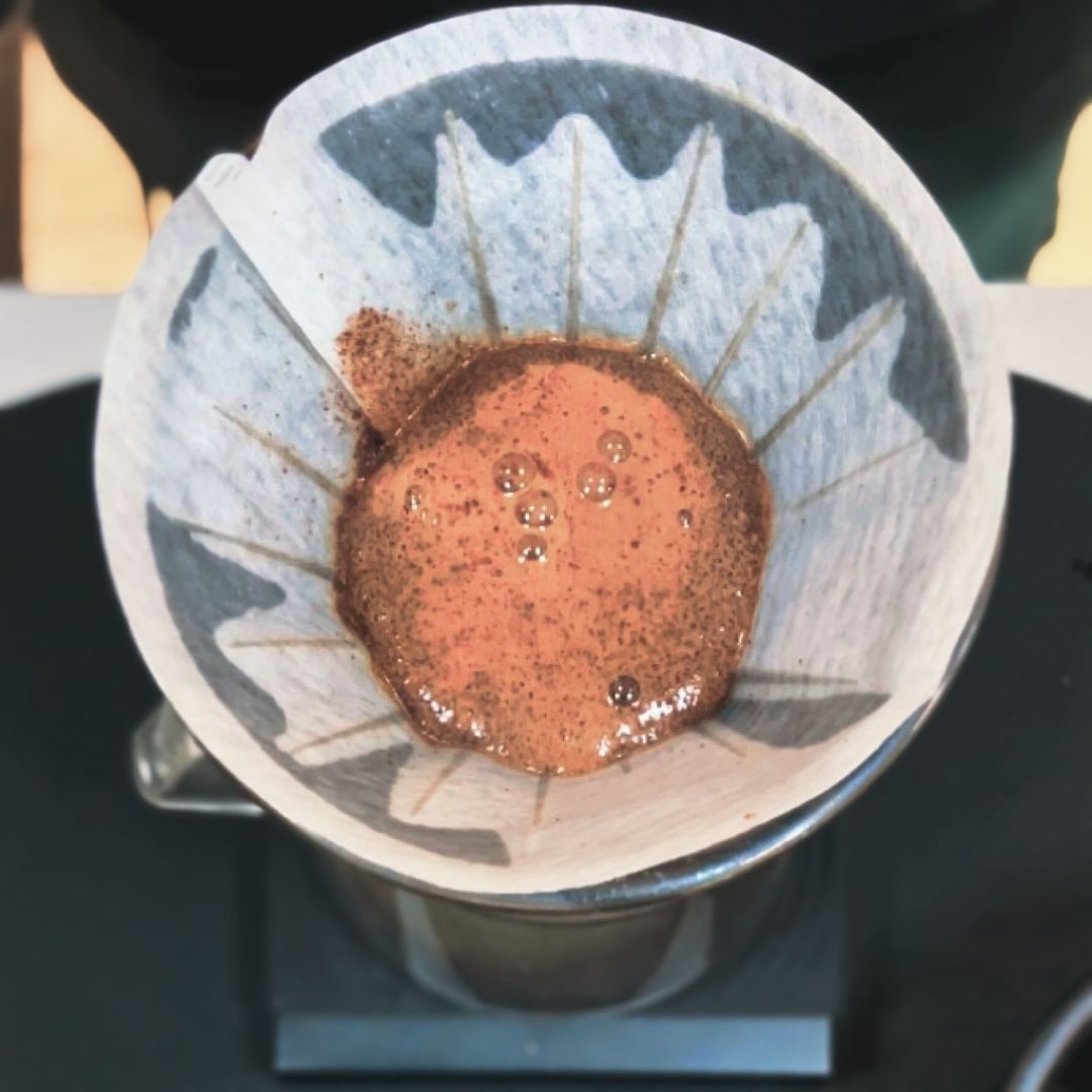 Das Spezialitätenkaffee-Rösterei-Verkostungserlebnis in Turin