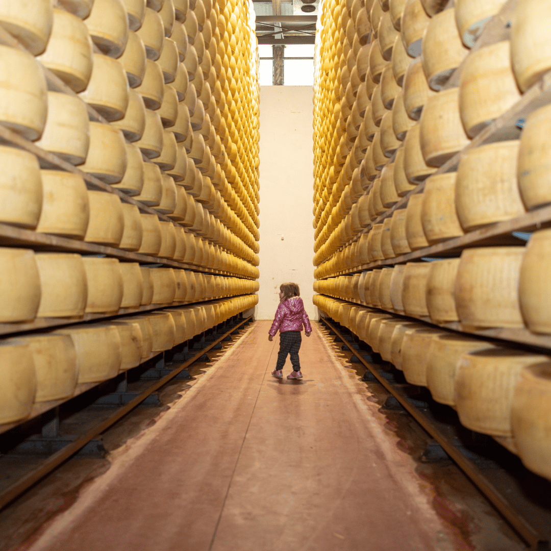 Fabbrica di Parmigiano Reggiano vicino a Modena: Degustazione e Tour