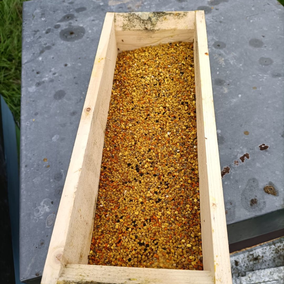 Honey and Mead Tasting Experience in Monferrato