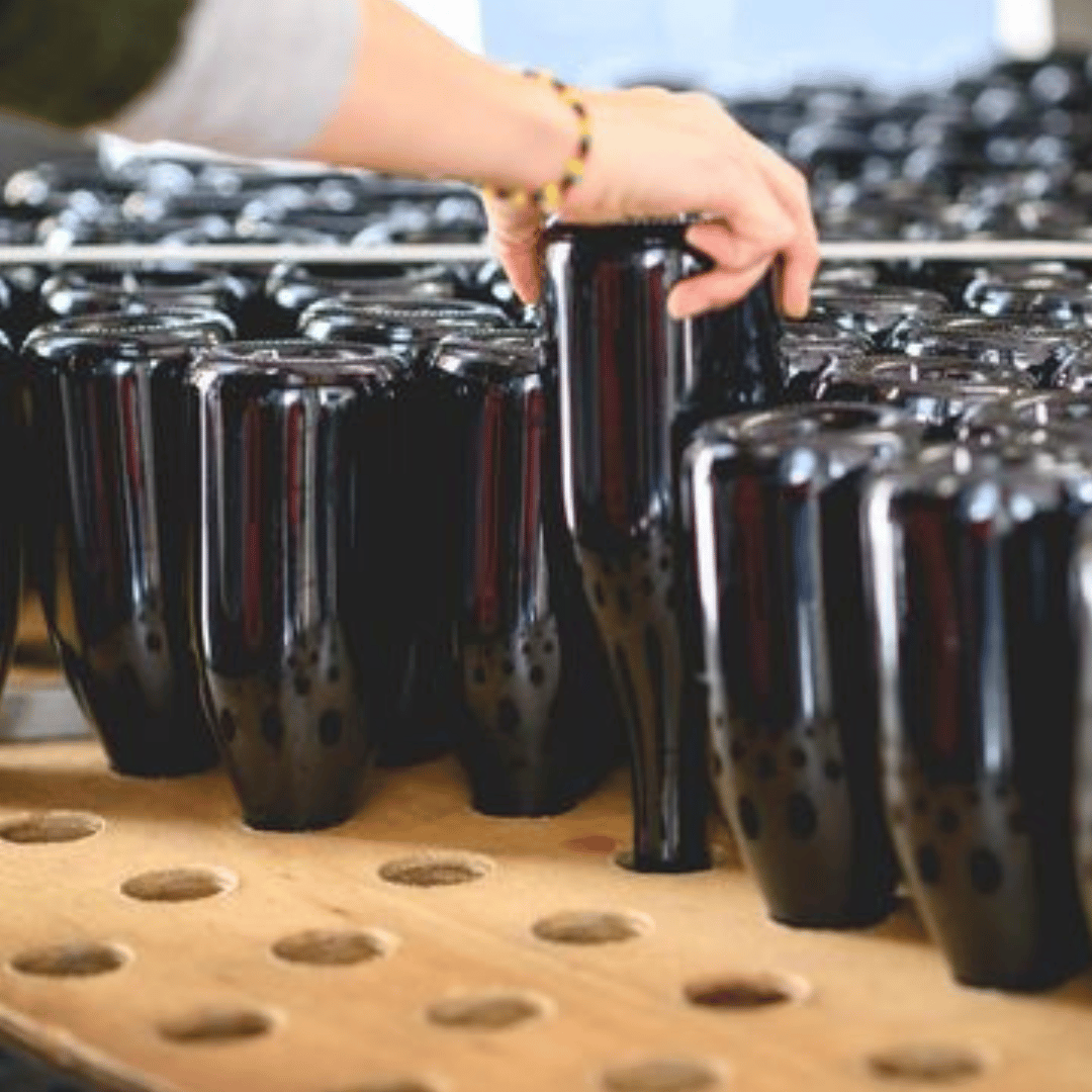 Visita alla Cantina sulle Colline di Parma e Degustazione di Vini con Piatto di Cibo