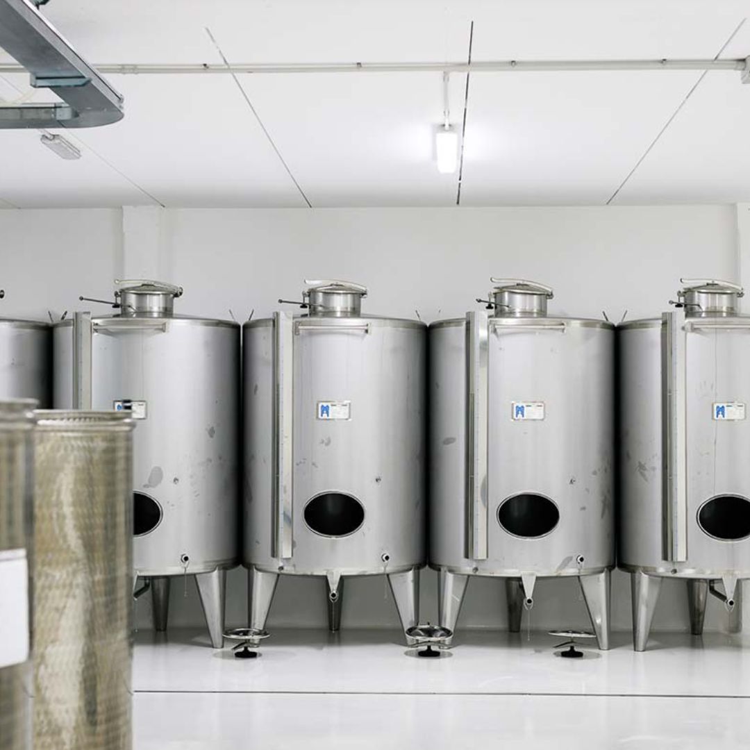 Olive Oil Mill Tour with Tasting near Bari