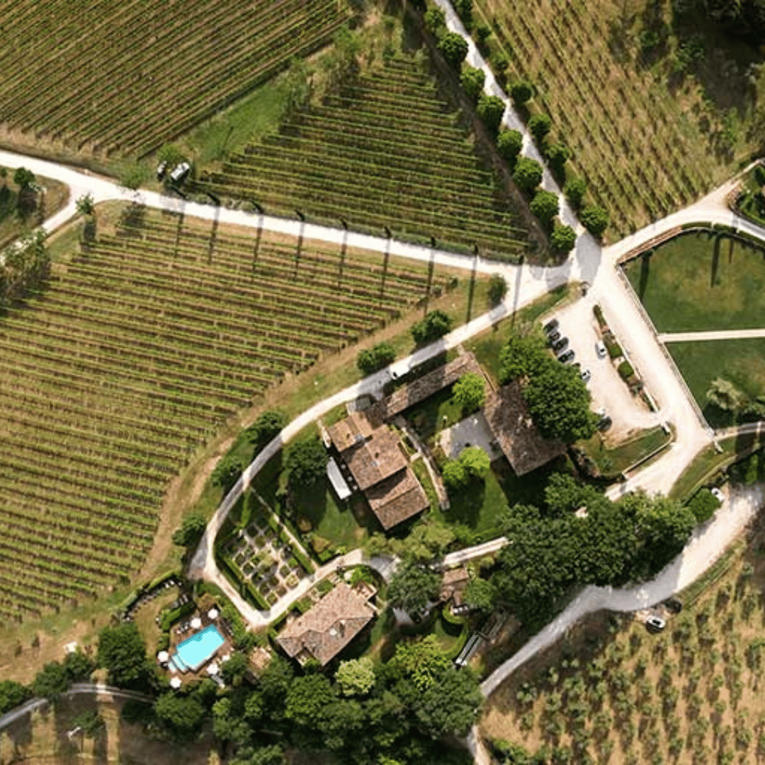 Boutique Winery Visit & 5 Organic Wine Tastings near Urbino
