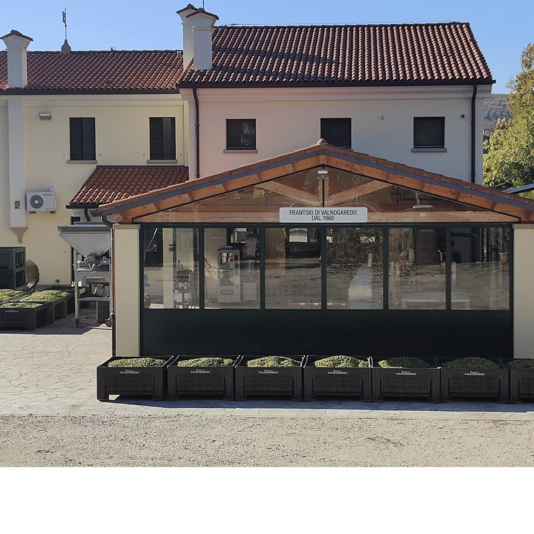 Olive Mill Tour and Tasting in the Padua Hills