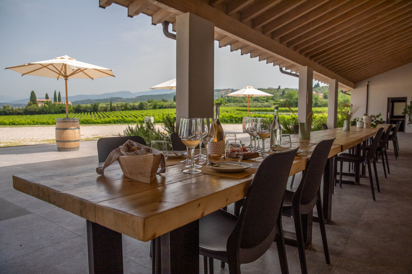 Esperienza del Vino Bardolino