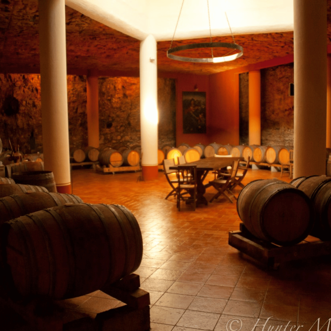 Vineyard Walk & Wine Tasting in the Berici Hills of Vicenza