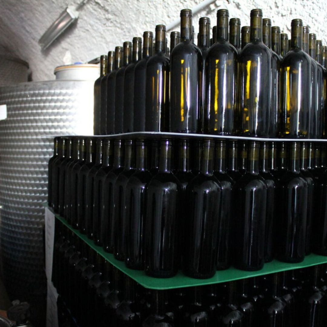Degustazione di vini e visita ad un borgo medievale dei Castelli Romani