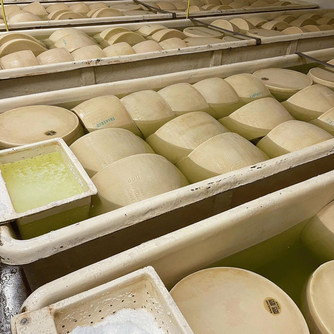 Parmesan Cheese Tour & Tasting near Modena