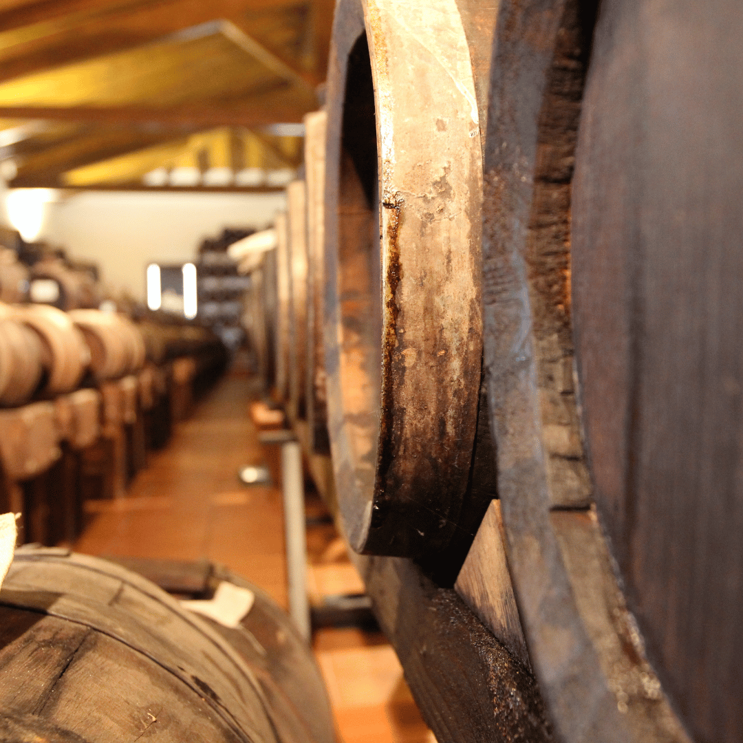 Balsamic Vinegar Tasting & Production Tour in Modena