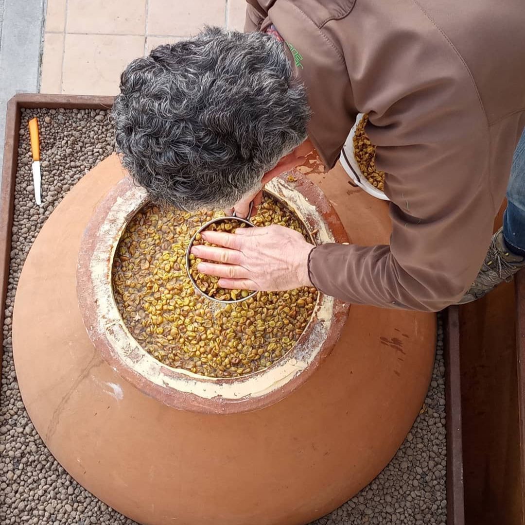 Tour in cantina con degustazione di vino e cibo nei pressi di Riccione e Rimini