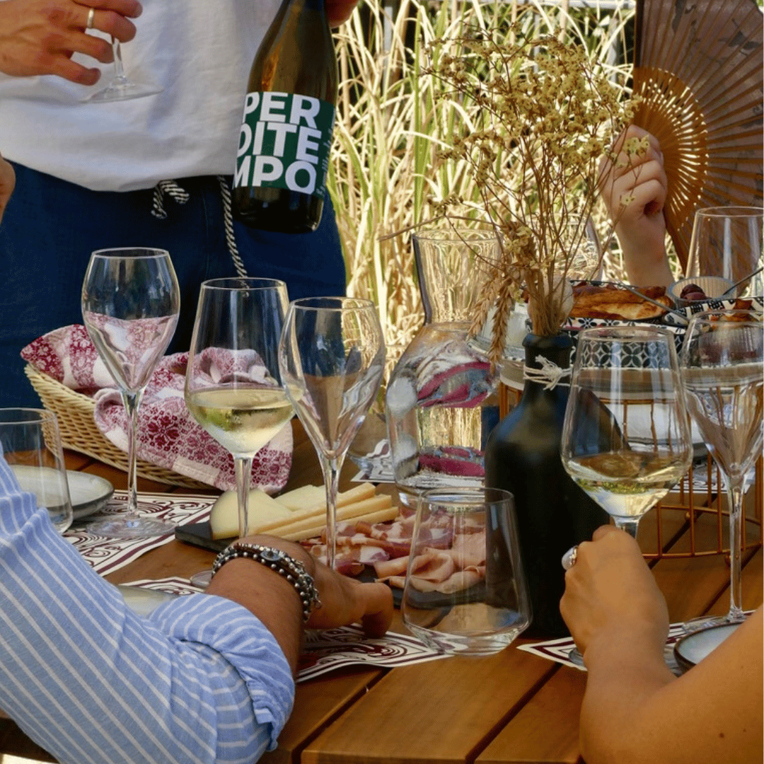 Bologna: tour della cantina boutique con degustazione di vini e piatto gastronomico