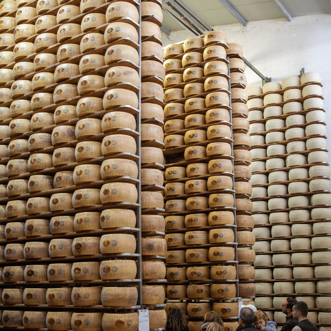 Fabbrica di Parmigiano Reggiano vicino a Modena: Degustazione e Tour