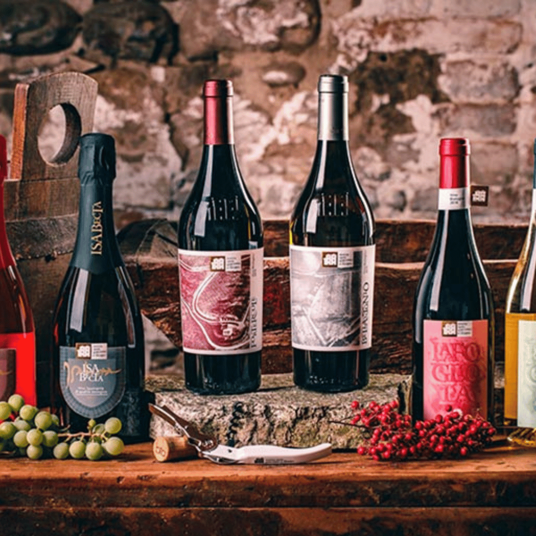 Boutique Winery Visit & 5 Organic Wine Tastings near Urbino