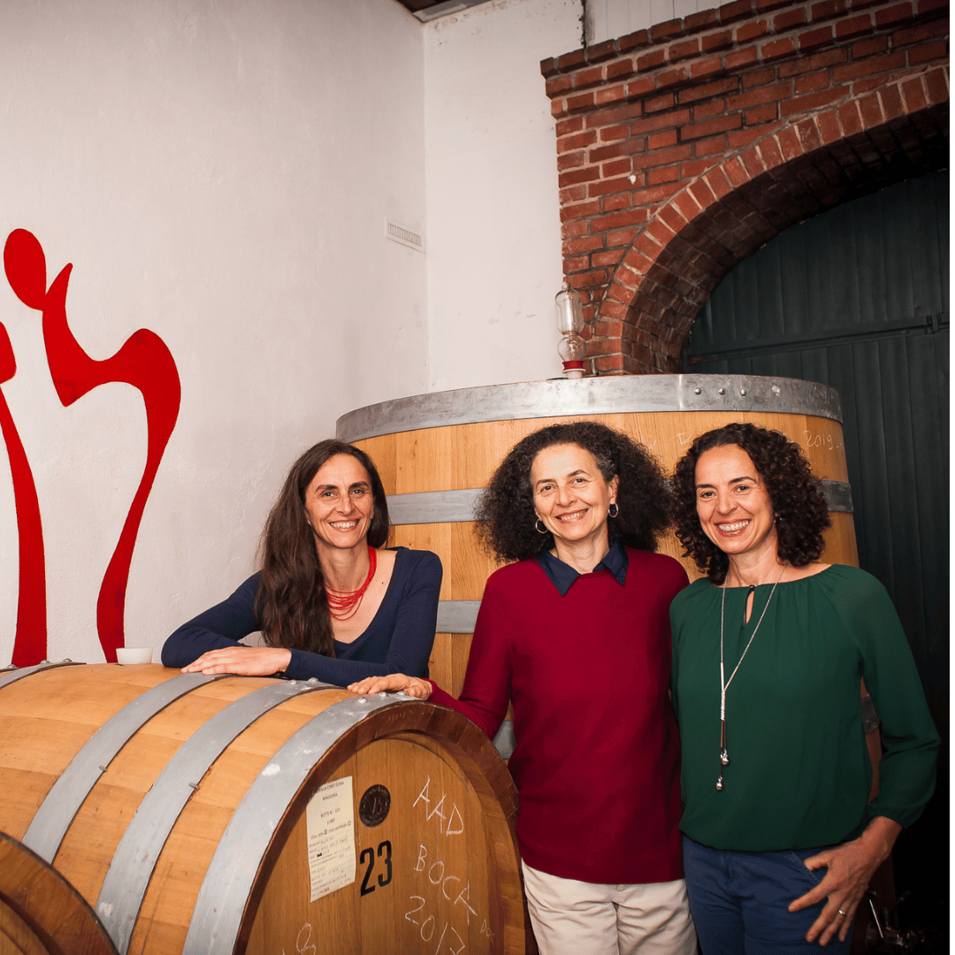 Castle Winery Tour & Tasting near Lake Maggiore