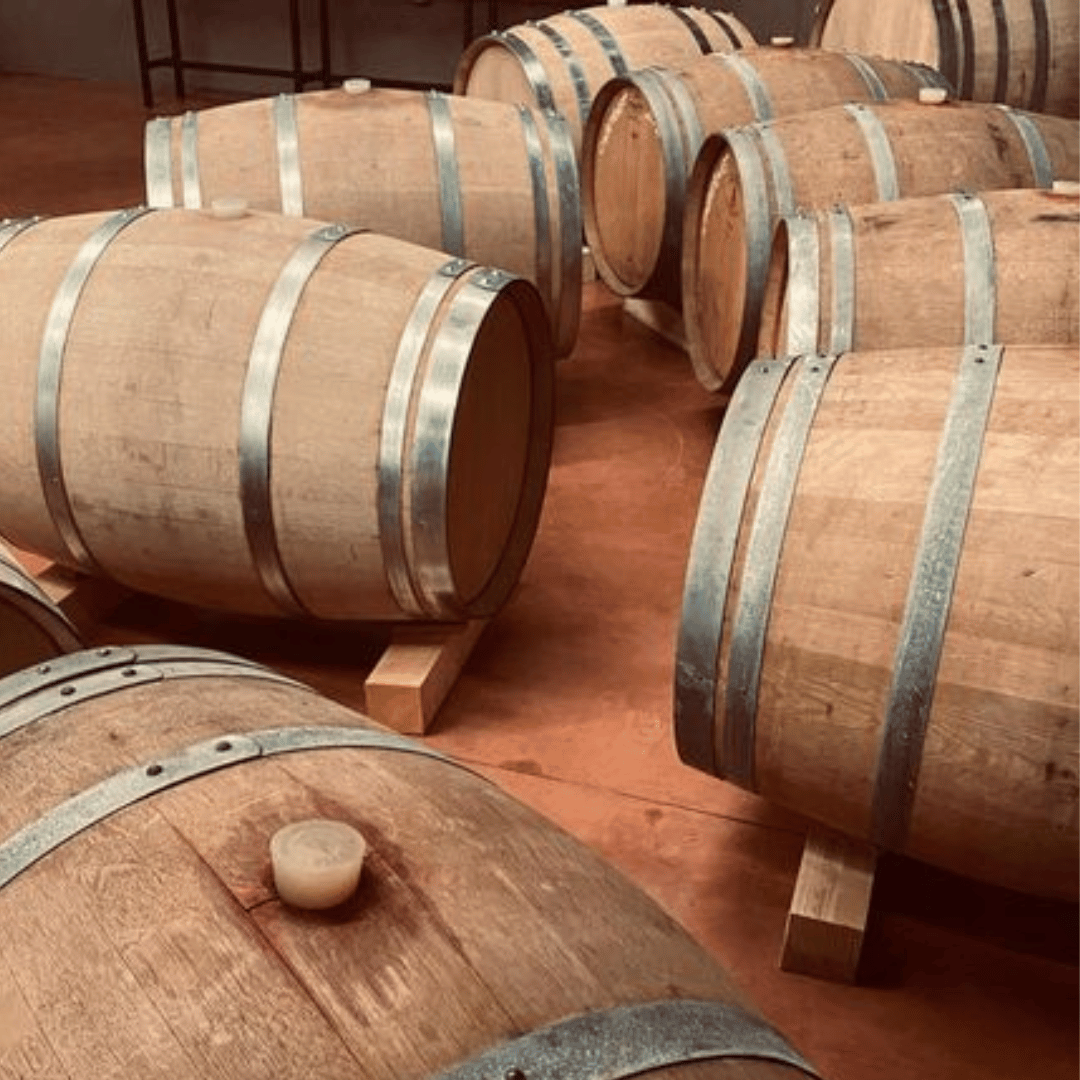 Visita alla Cantina sulle Colline di Parma e Degustazione di Vini con Piatto di Cibo