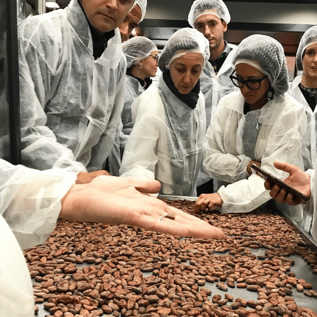 Chocolate Factory Tour & Tasting near Alessandria