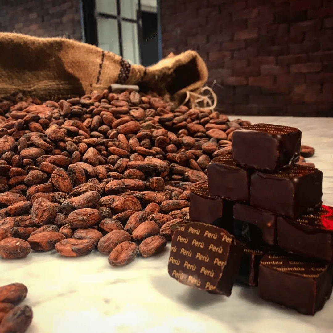 Chocolate Factory Tour & Tasting near Alessandria