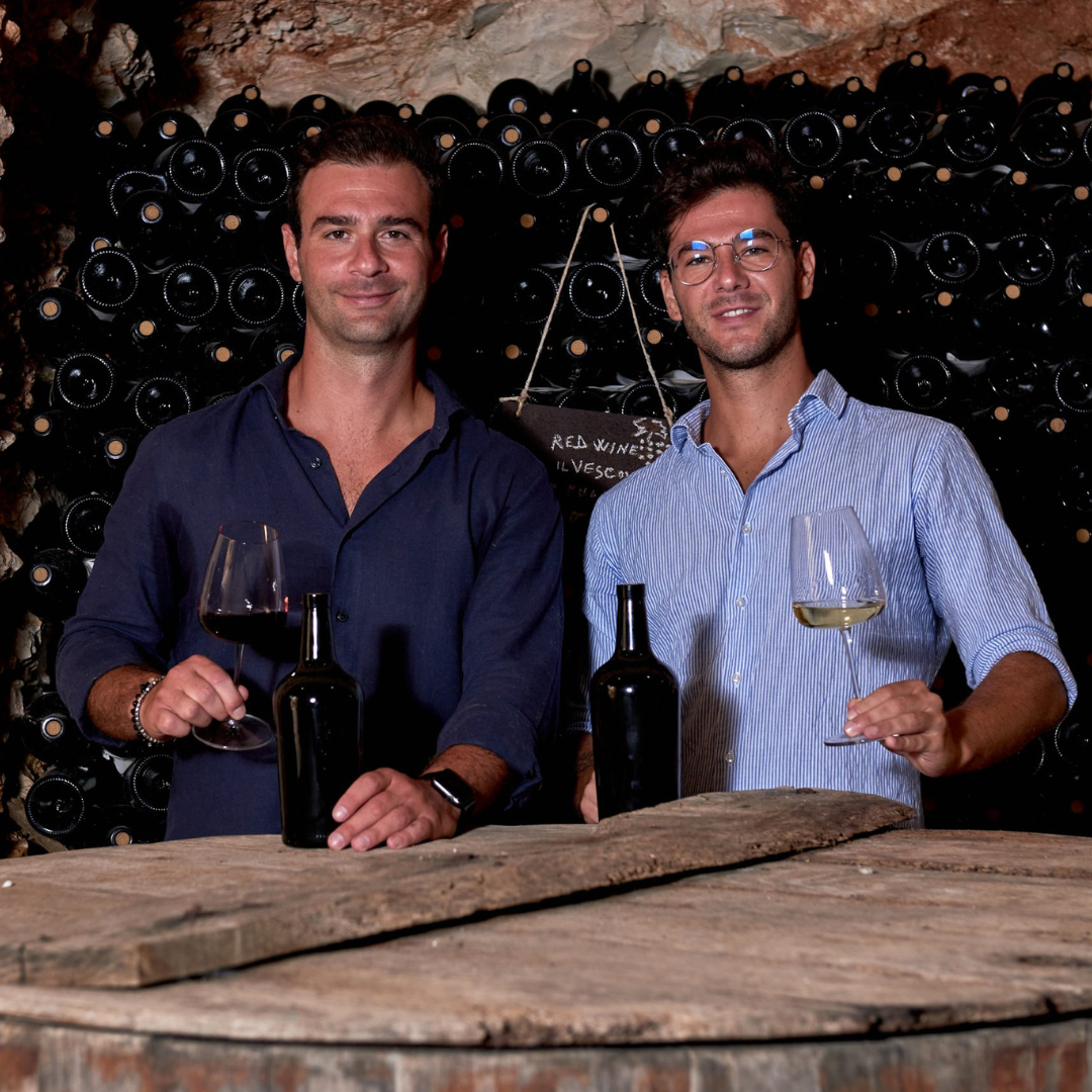 Wine Tasting with Food Pairings in Bari City Center
