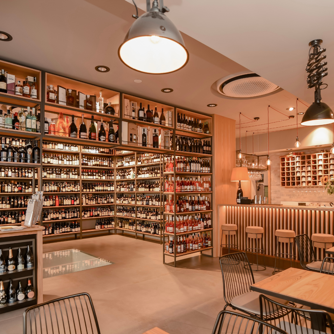 Wine Tasting with Food Pairings in Bari City Center