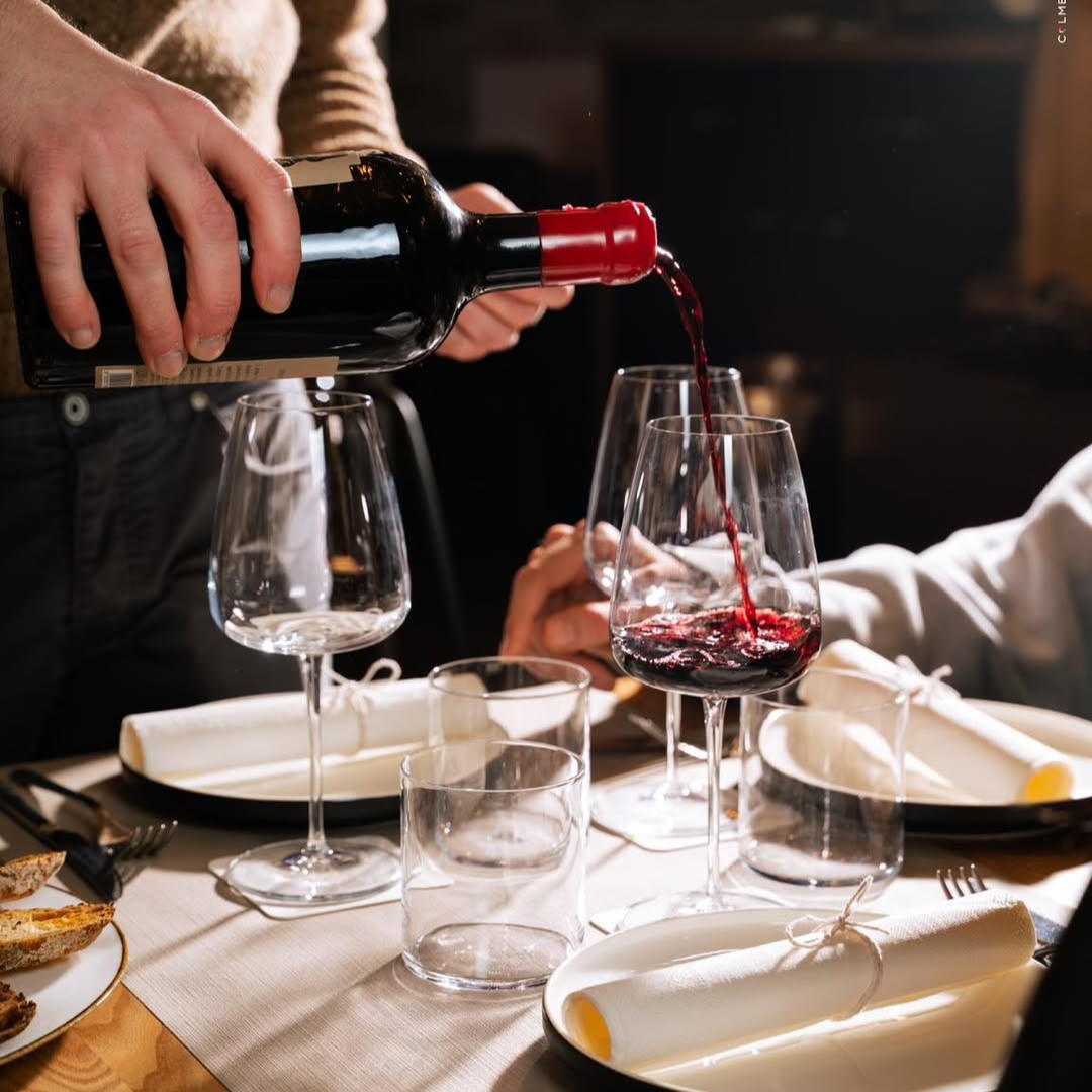 Wine Tasting with Food Pairings in Bari City Center