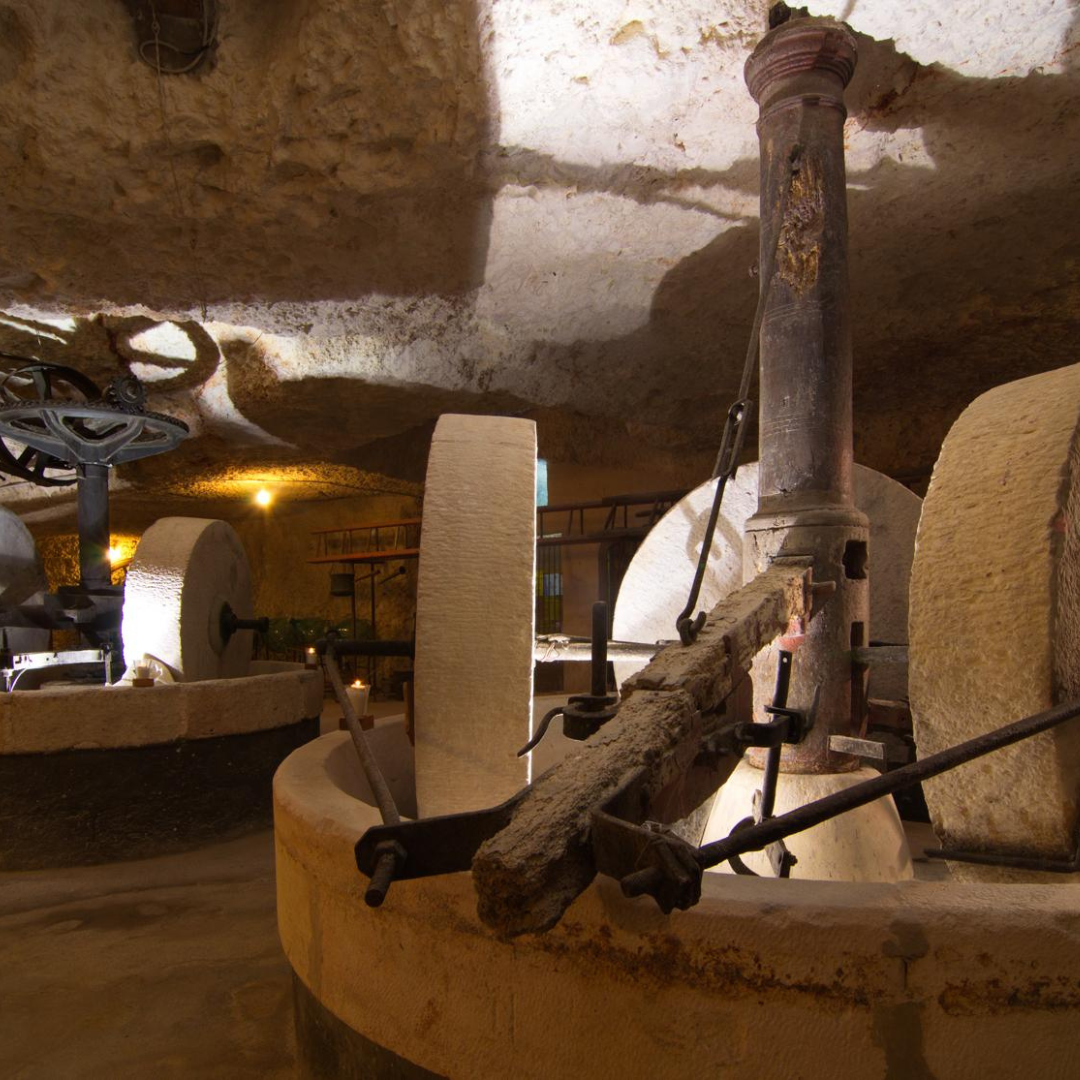 Olive Oil Tasting in Ancient Ostuni Masseria