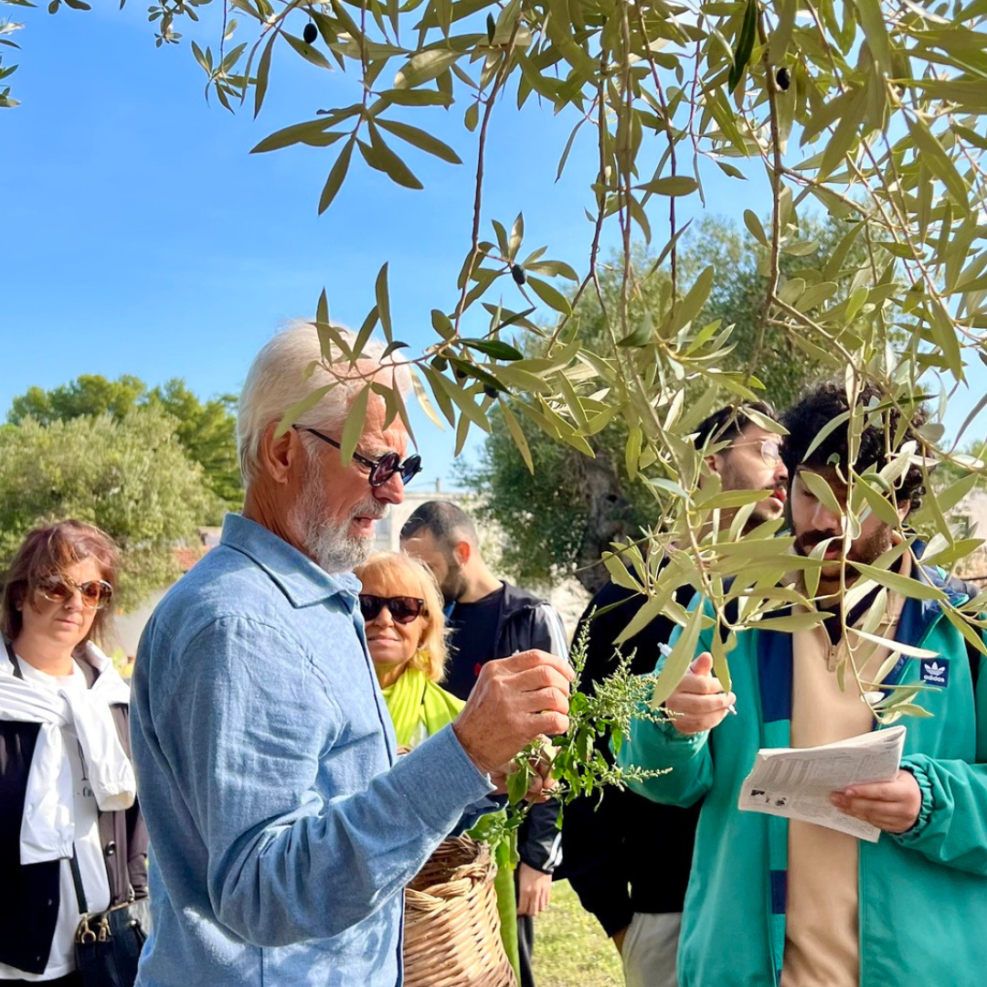 Olive Oil Tasting in Ancient Ostuni Masseria