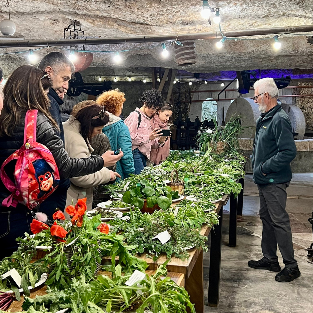 Olive Oil Tasting in Ancient Ostuni Masseria