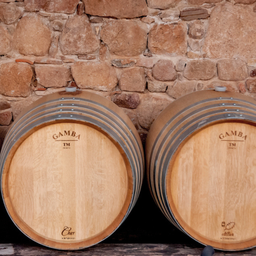 Wine Tasting & Winery Visit on Cagliari Countryside Hills