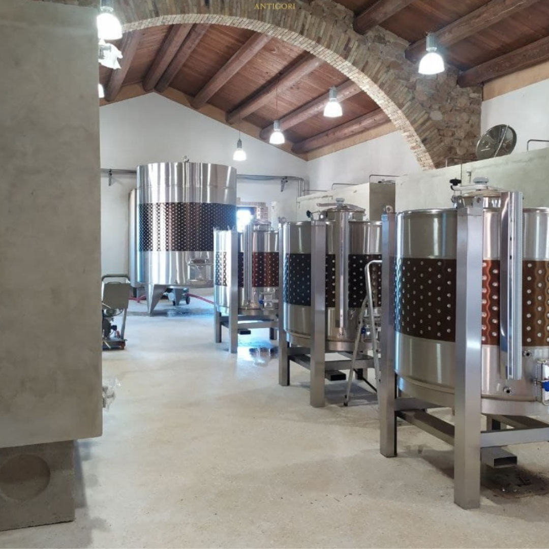 Wine Tasting & Winery Visit on Cagliari Countryside Hills