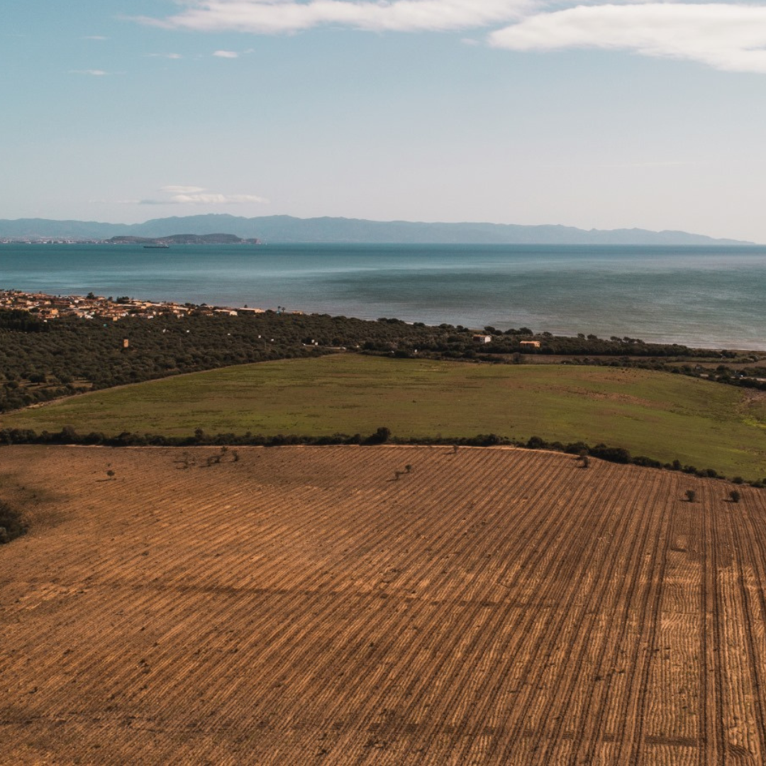 Wine Tasting & Winery Visit on Cagliari Countryside Hills