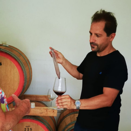 Tour della cantina boutique con degustazione di vino e cibo vicino a Cagliari