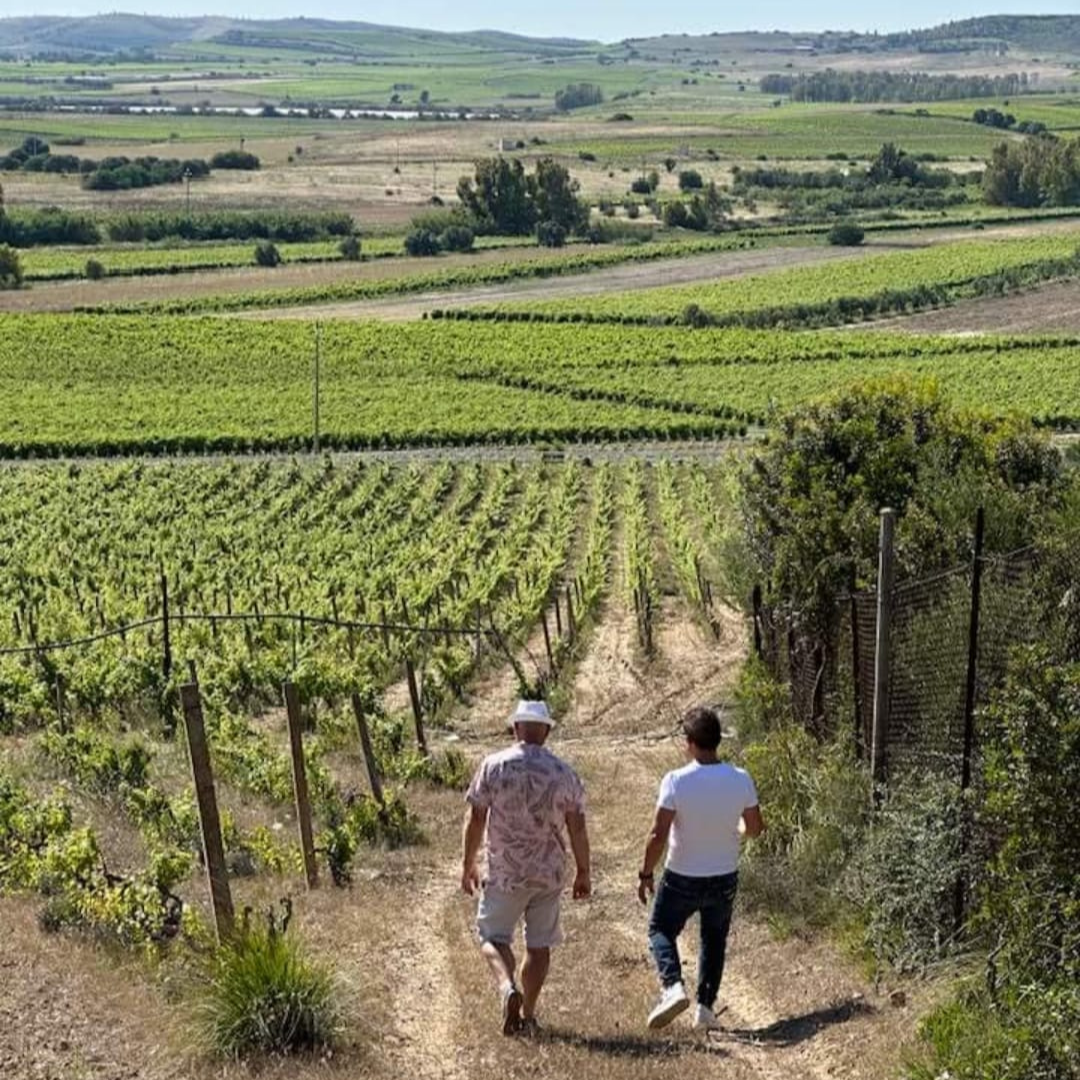 Boutique Winery Tour with Wine & Food Tasting near Cagliari
