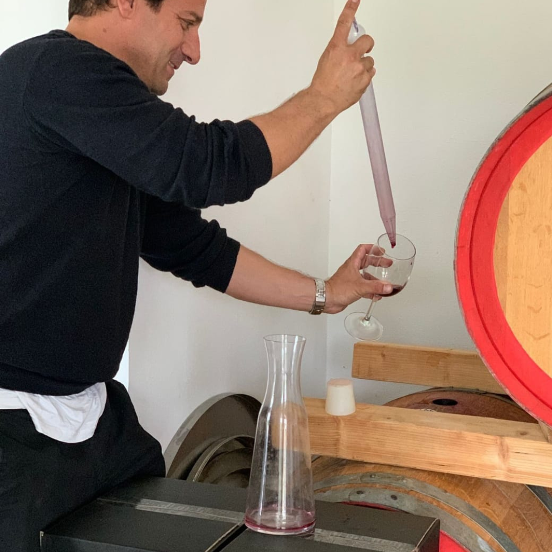 Boutique Winery Tour with Wine & Food Tasting near Cagliari