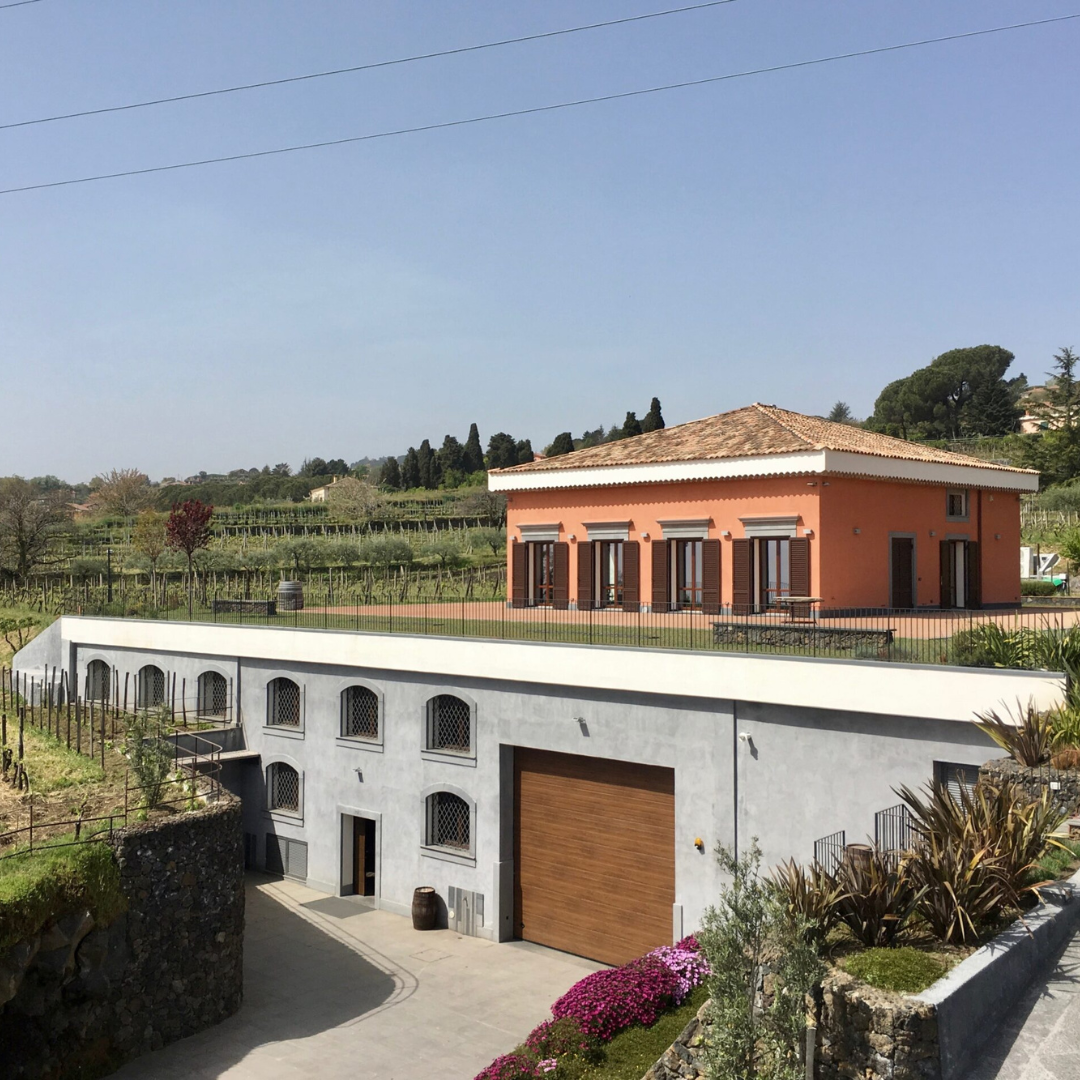 Winery Visit & Tasting on the Volcanic Slopes near Catania