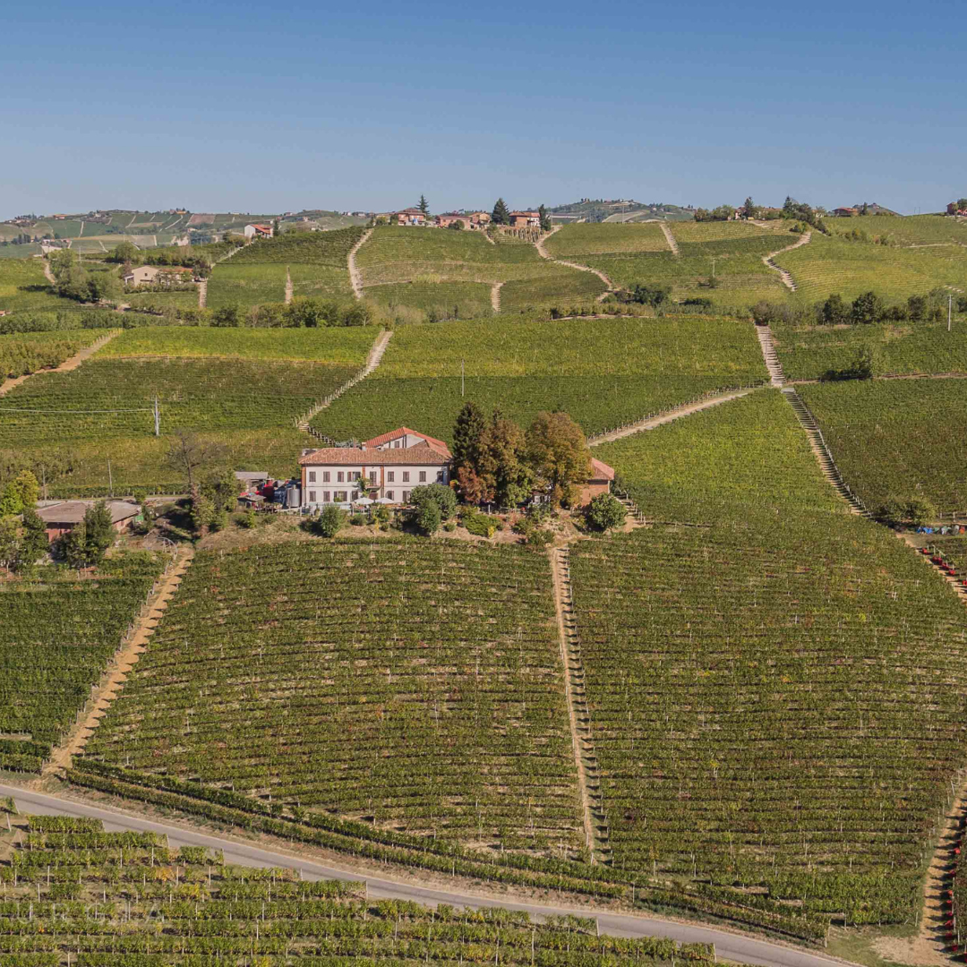 Wine Tasting with Snacks in Neive, the heart of Langhe 6 Cuneo