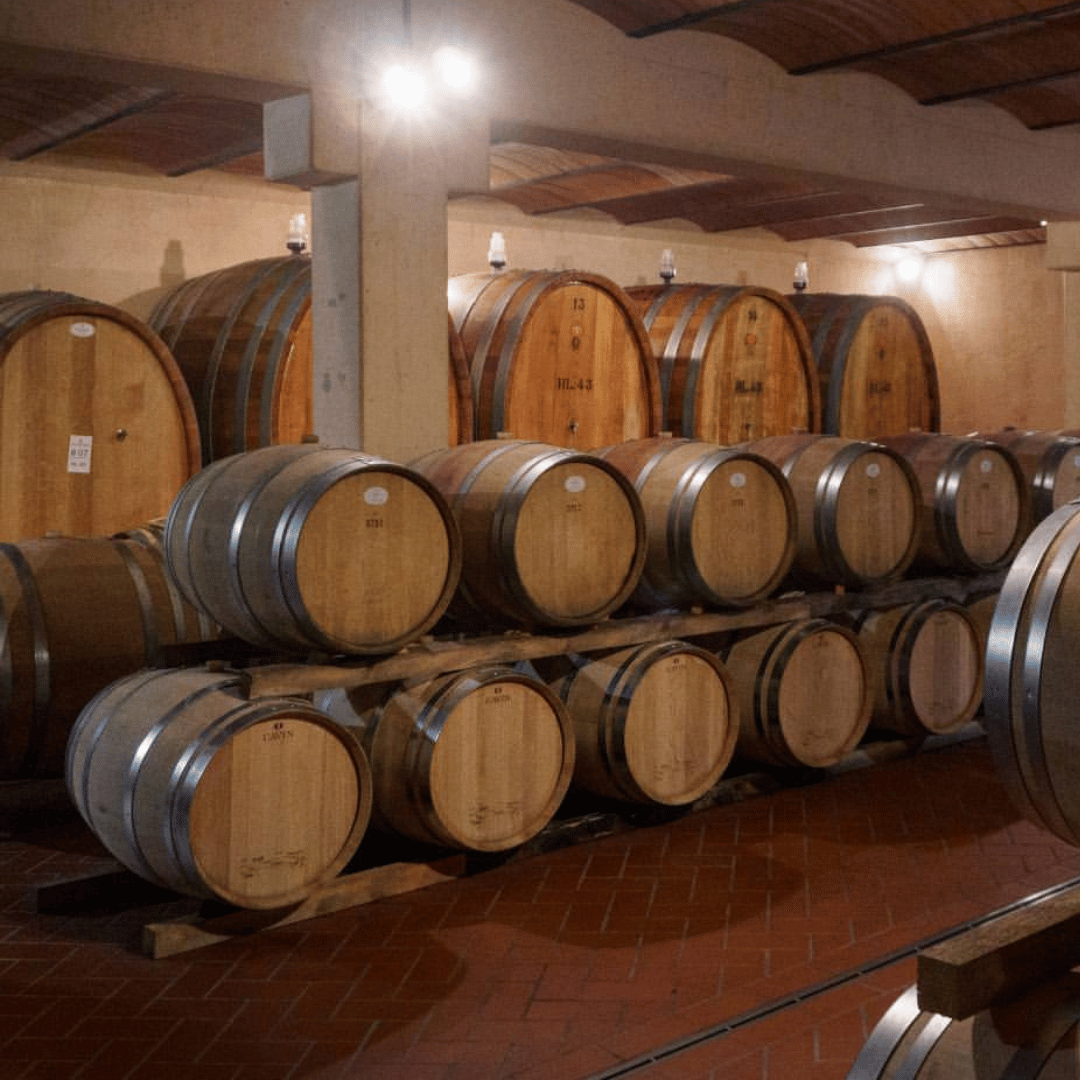 Winery Visit & Tasting near Grosseto with 6 wines