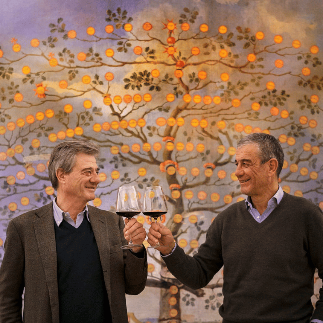 Winery Visit & Tasting near Grosseto with 6 wines