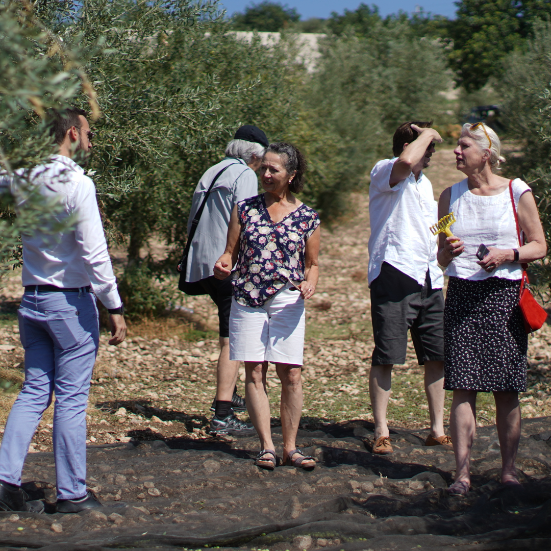 Olive Mill Tour & Grove Walk with Tastings near Ragusa 2 Ragusa