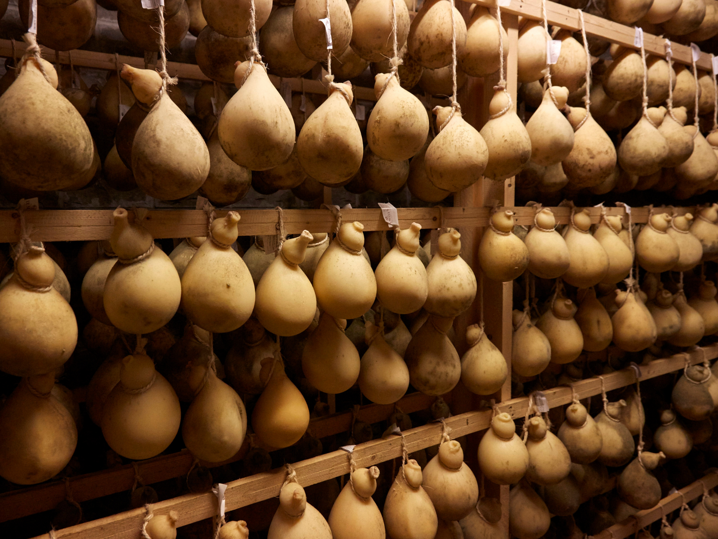 Traditional Cheese Factory Visit with Tasting in Isernia Countryside