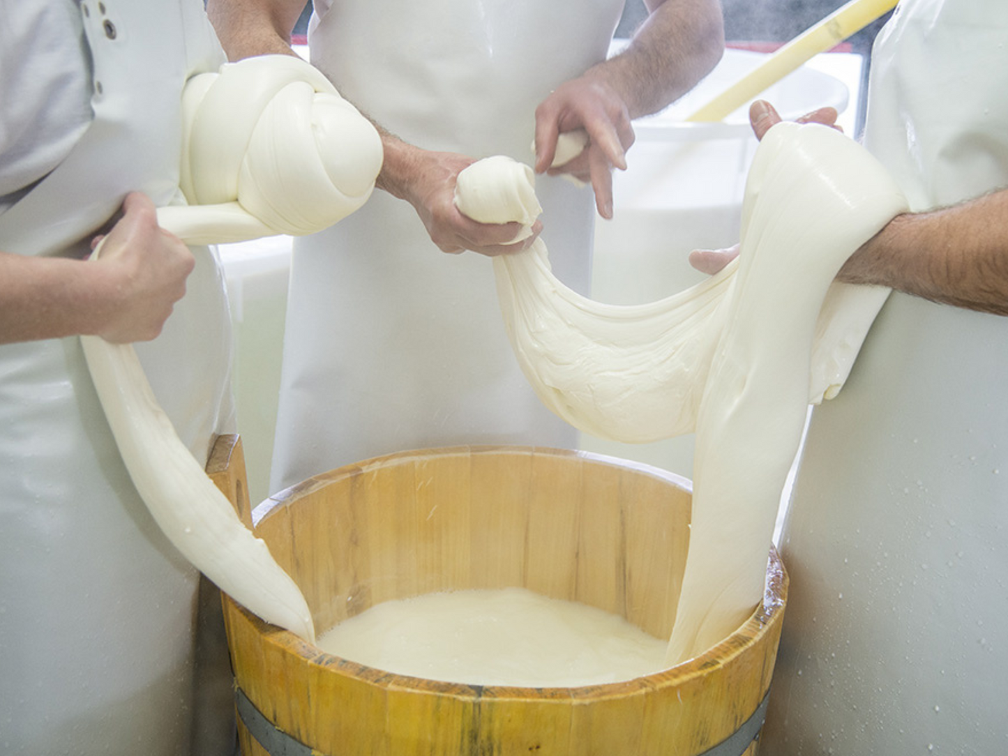 Traditional Cheese Factory Visit with Tasting in Isernia Countryside
