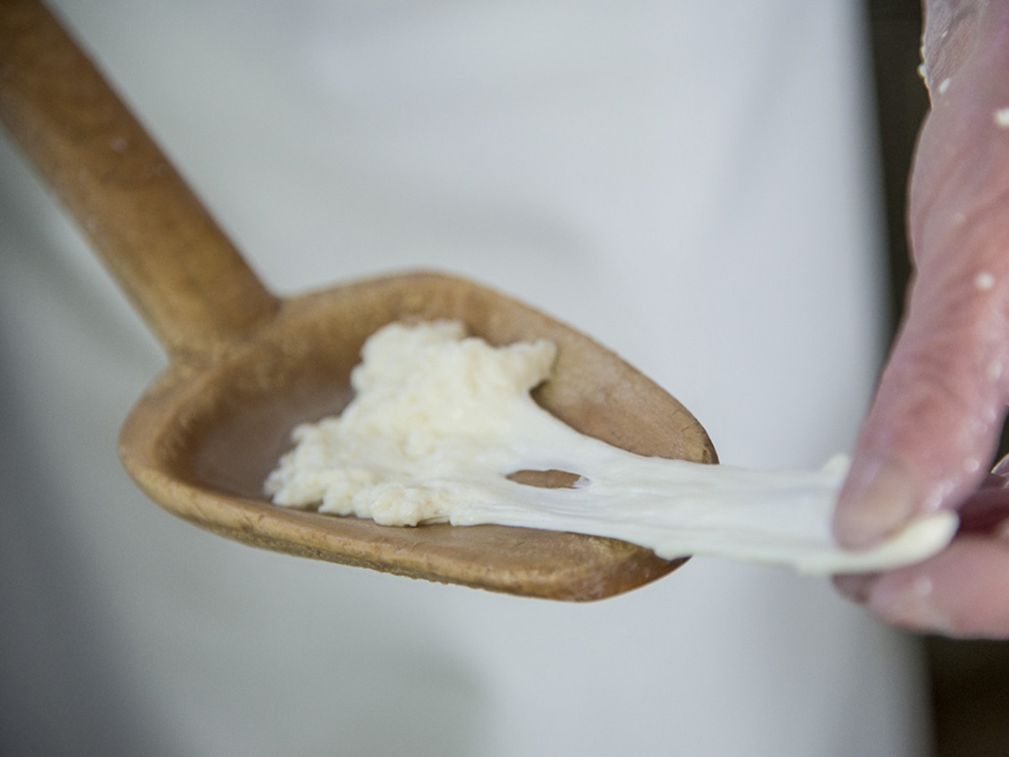 Traditional Cheese Factory Visit with Tasting in Isernia Countryside