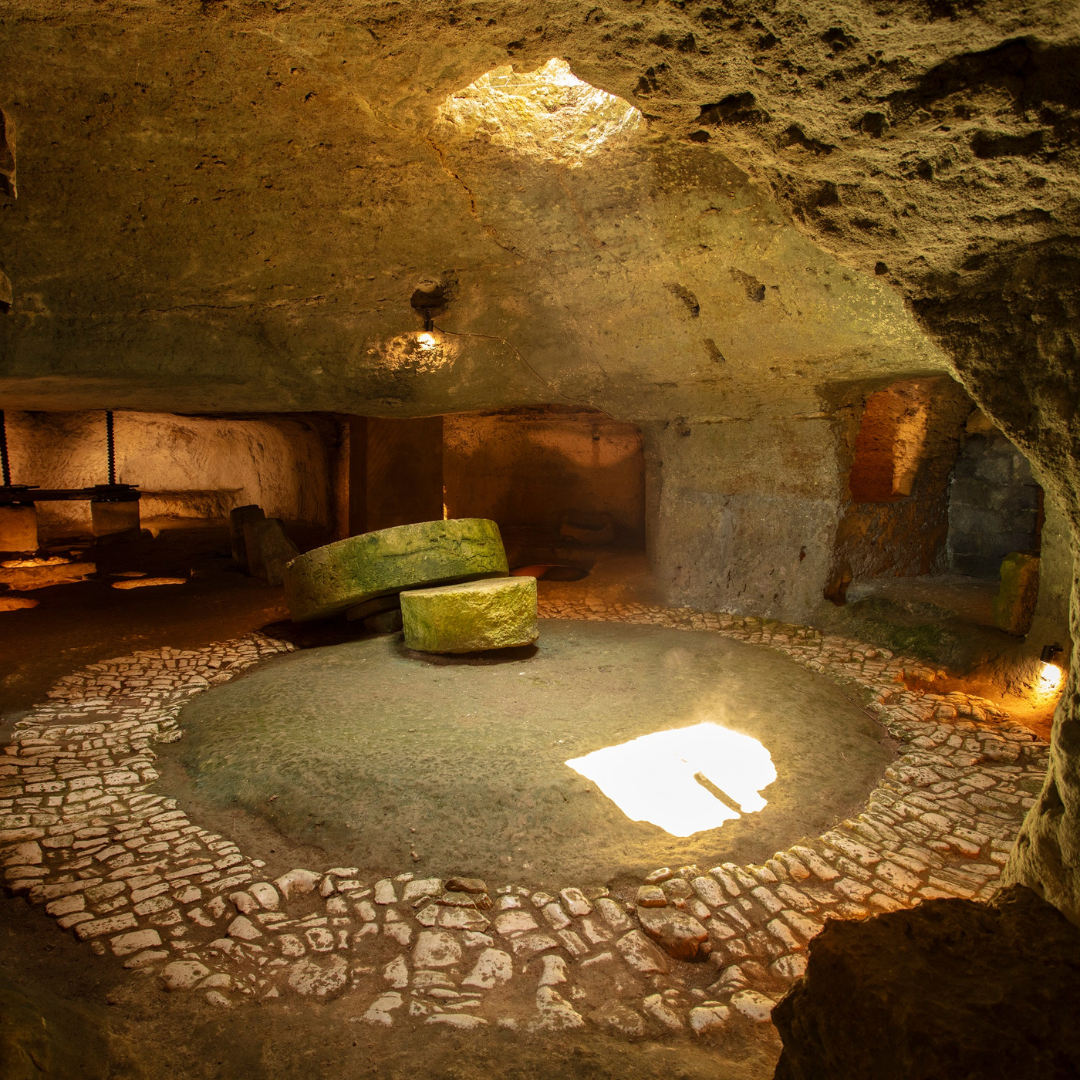Underground Olive Mill Tour & Tasting near Otranto