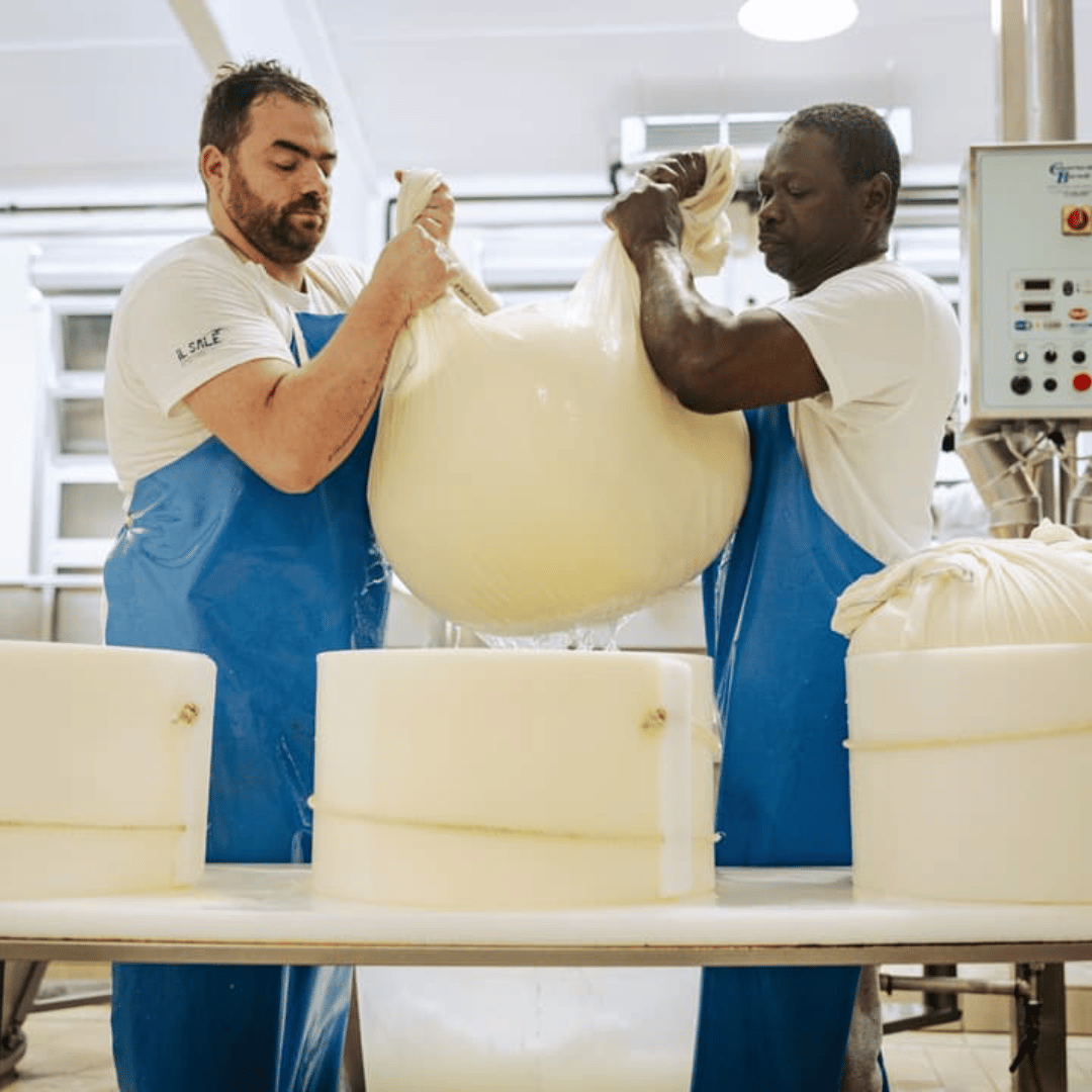Parmesan Cheese Factory Tour & Tasting near Parma